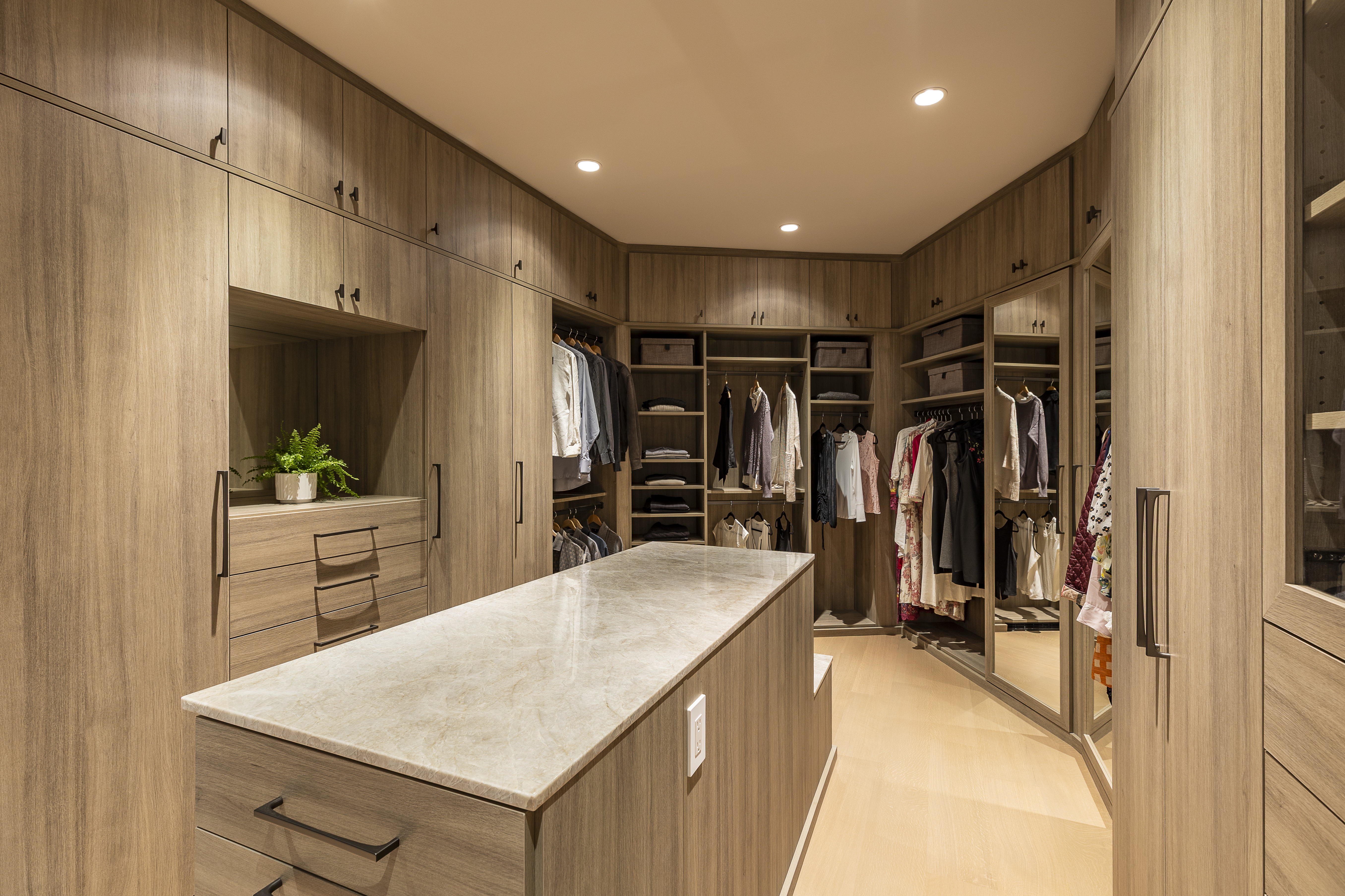 The Chameleon Walk-In Closet